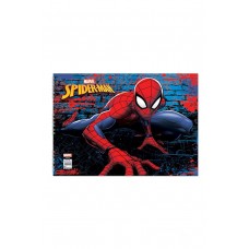 KESKİN SPIDERMAN PAINTING BOOK 15SH 25x35